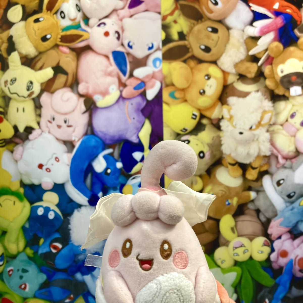 いっぷくピンプク tweet media