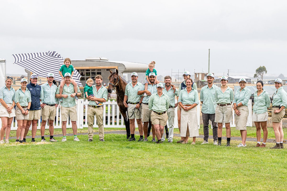 Magic Millions tweet media