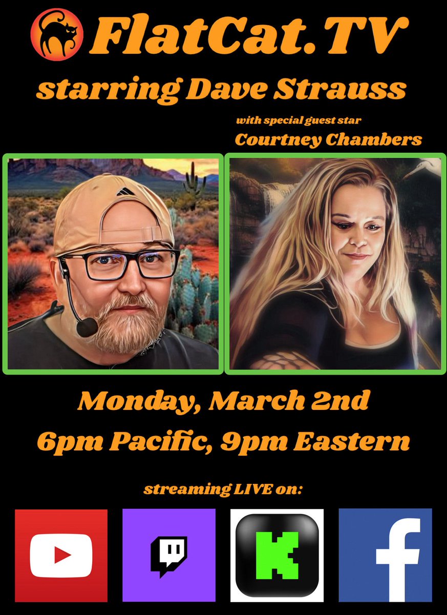 Flat Cat TV tweet media