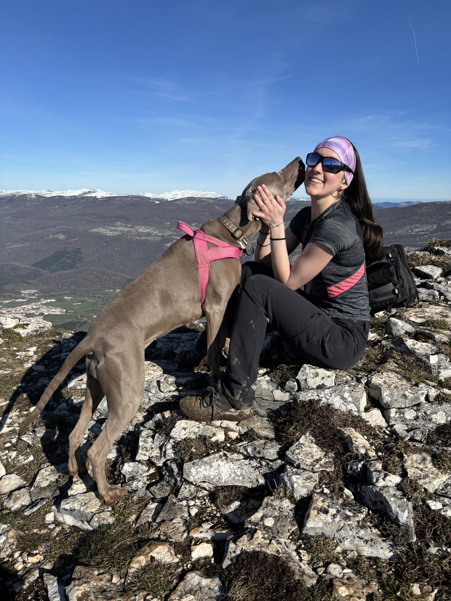 Satrustegiko mendilerroa 🏔️

Unanu - Beriainpunta - Beriain - Amorro - Lezizagoa - EHko erdigunea - Unanu

2026ko otsaila