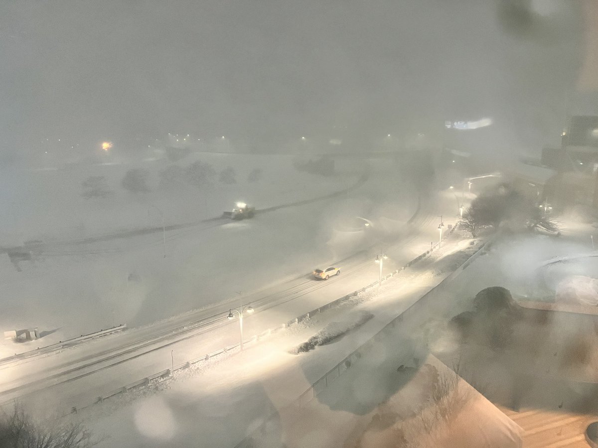 Madeleine Wright tweet media