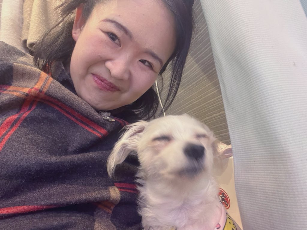 きぬか🌺 /kinuka tweet media