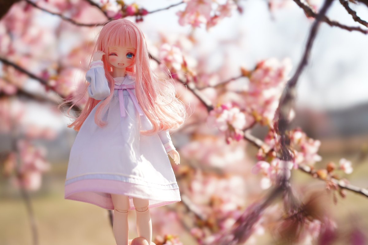 風がやばすぎますわ〜