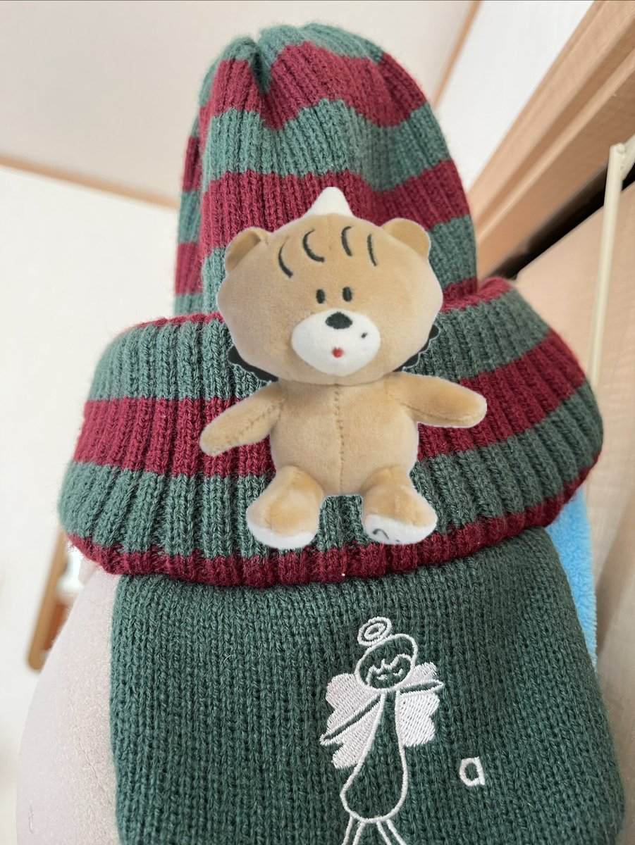 guide_el's tweet image. ミニあくま🧸ブンズベニット帽のどこにつけようかもう悩んでいる笑@aimyonGtter