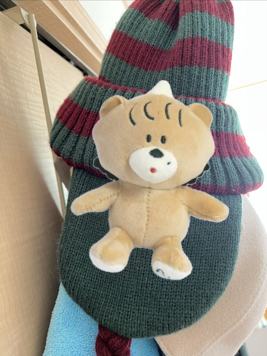 guide_el's tweet image. ミニあくま🧸ブンズベニット帽のどこにつけようかもう悩んでいる笑@aimyonGtter