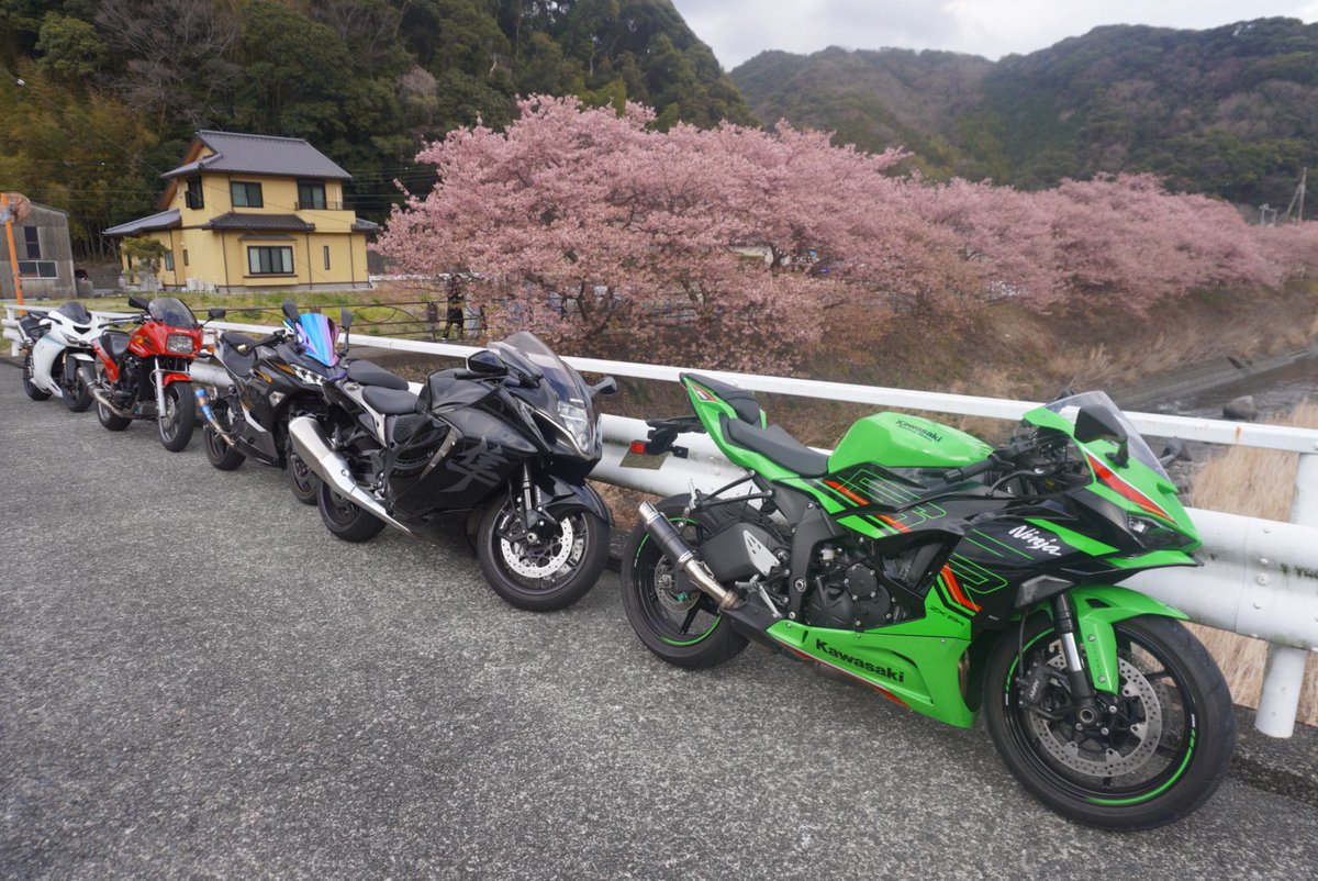 baseball_k19's tweet photo. 河津桜ツーリング！
渋滞と花粉はもう勘弁…

#バイク
#バイク乗り
#バイクのある生活 https://t.co/WPJGxTOQ6X