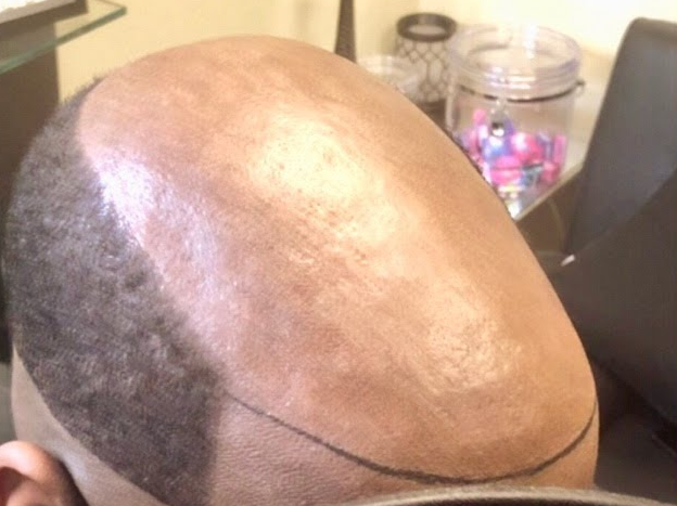 Moochie Bear Research Squad (M.B.R.S.) tweet media