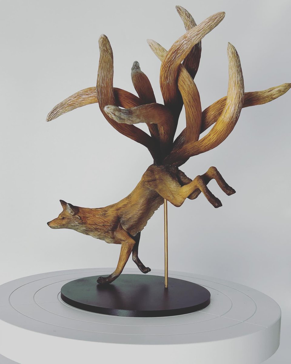 速水駿 tweet media