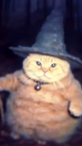 warning: my laptop has started to think it's a therapist 🤖 'your performance is suboptimal,' it says i'm not sure if i should be concerned or just nod politely #ciprobs