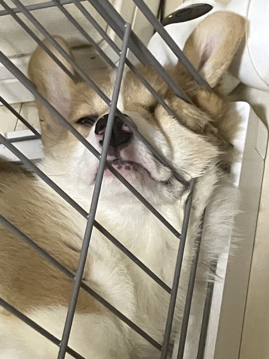 こたパパ@全国100年老舗節約グルメ旅人 (@shinisetabi) / Posts / X