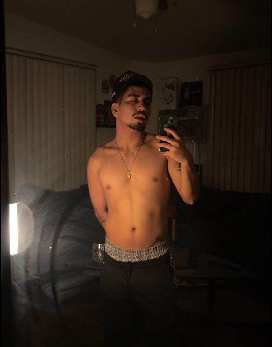 faketwink tweet media