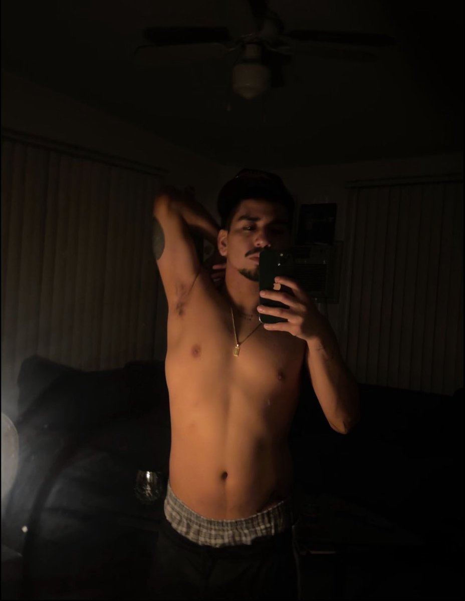 faketwink tweet media