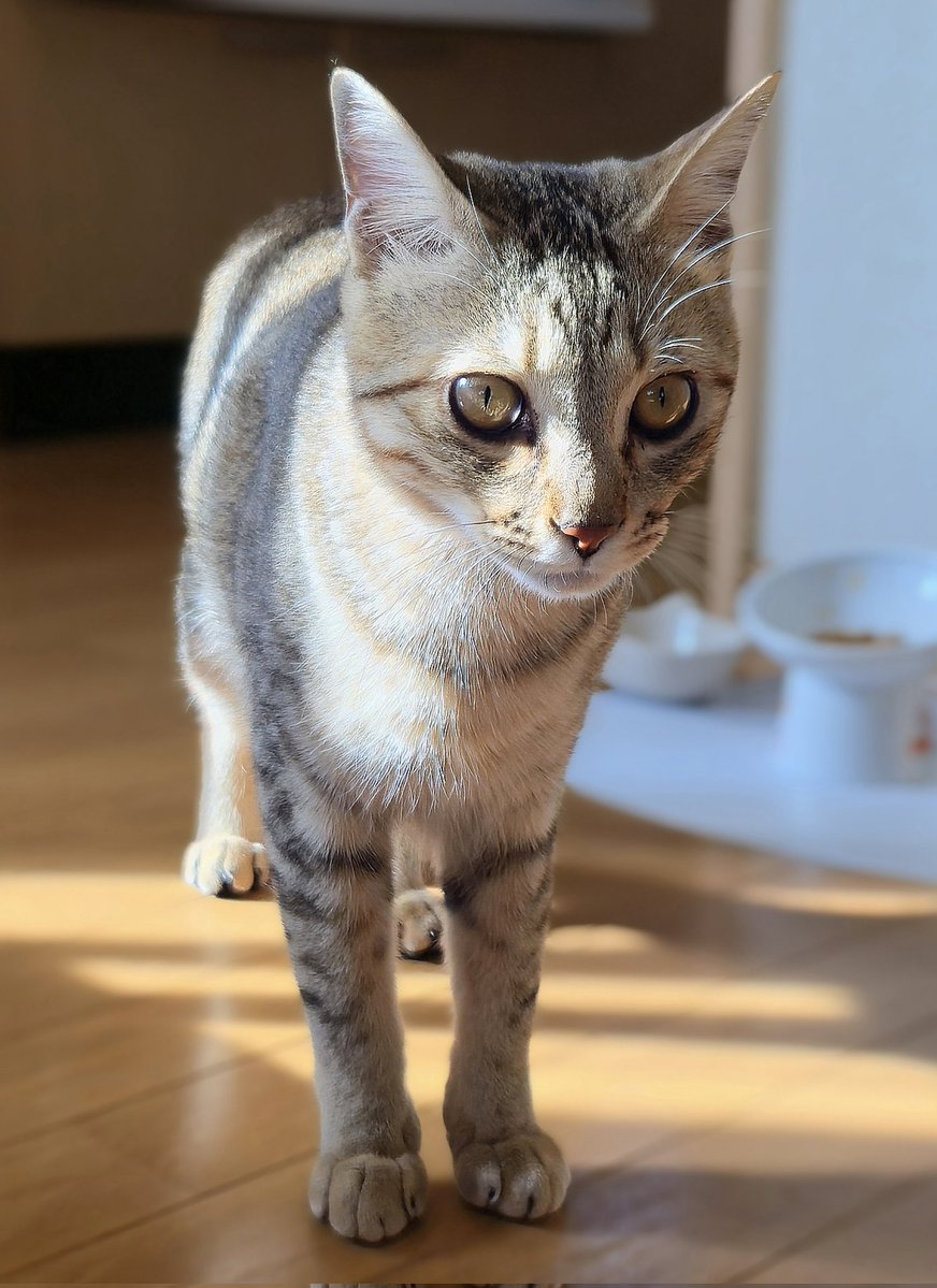 まるママ (@maruchannel0820) / Posts / X