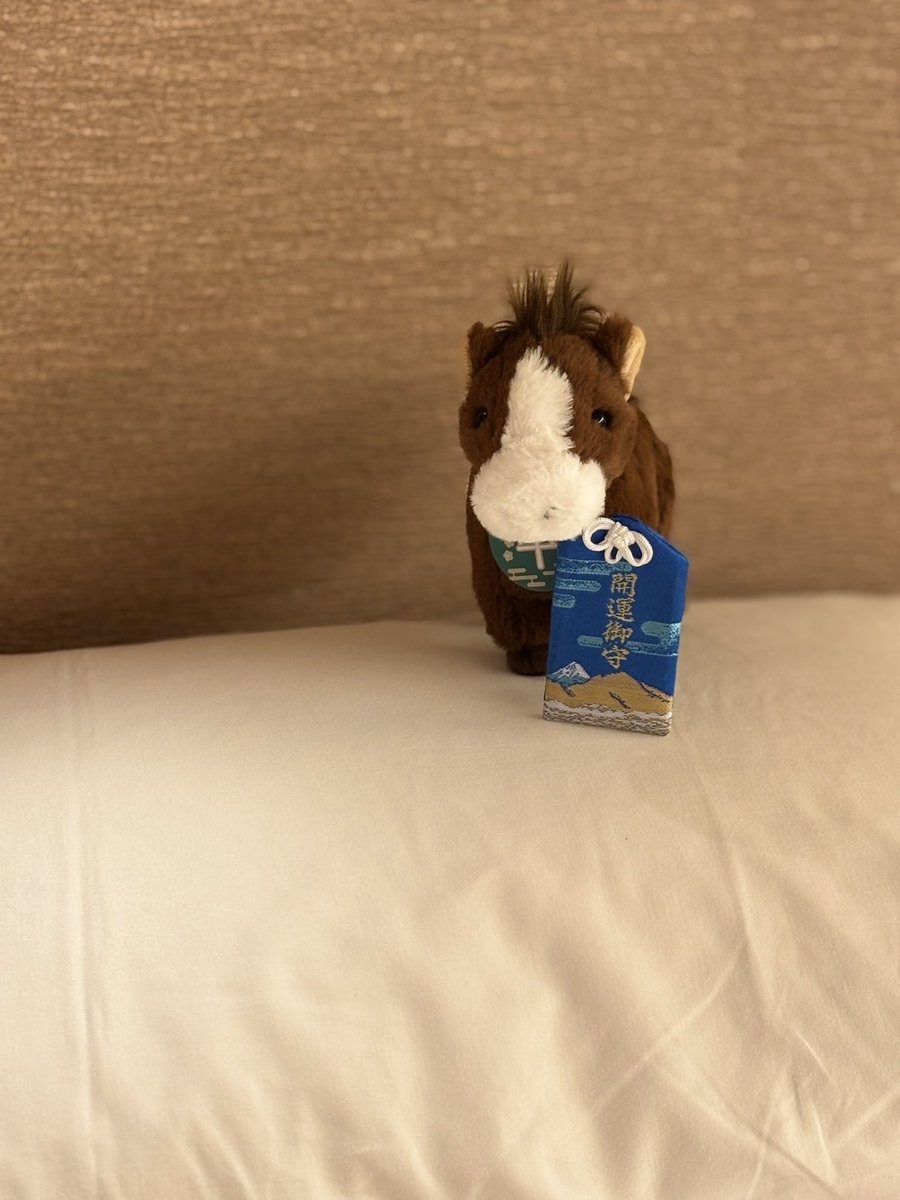 T_usayuki's tweet photo. タピオカファミリーの幸せを願って…✨✨
アレちゃん🐴が選んでくれたよ〜❗️

#ぬい活 #ぬい撮り #sunlemon https://t.co/RsTRm1lVGX