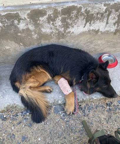 Vineeta Singh 🇮🇳 tweet media