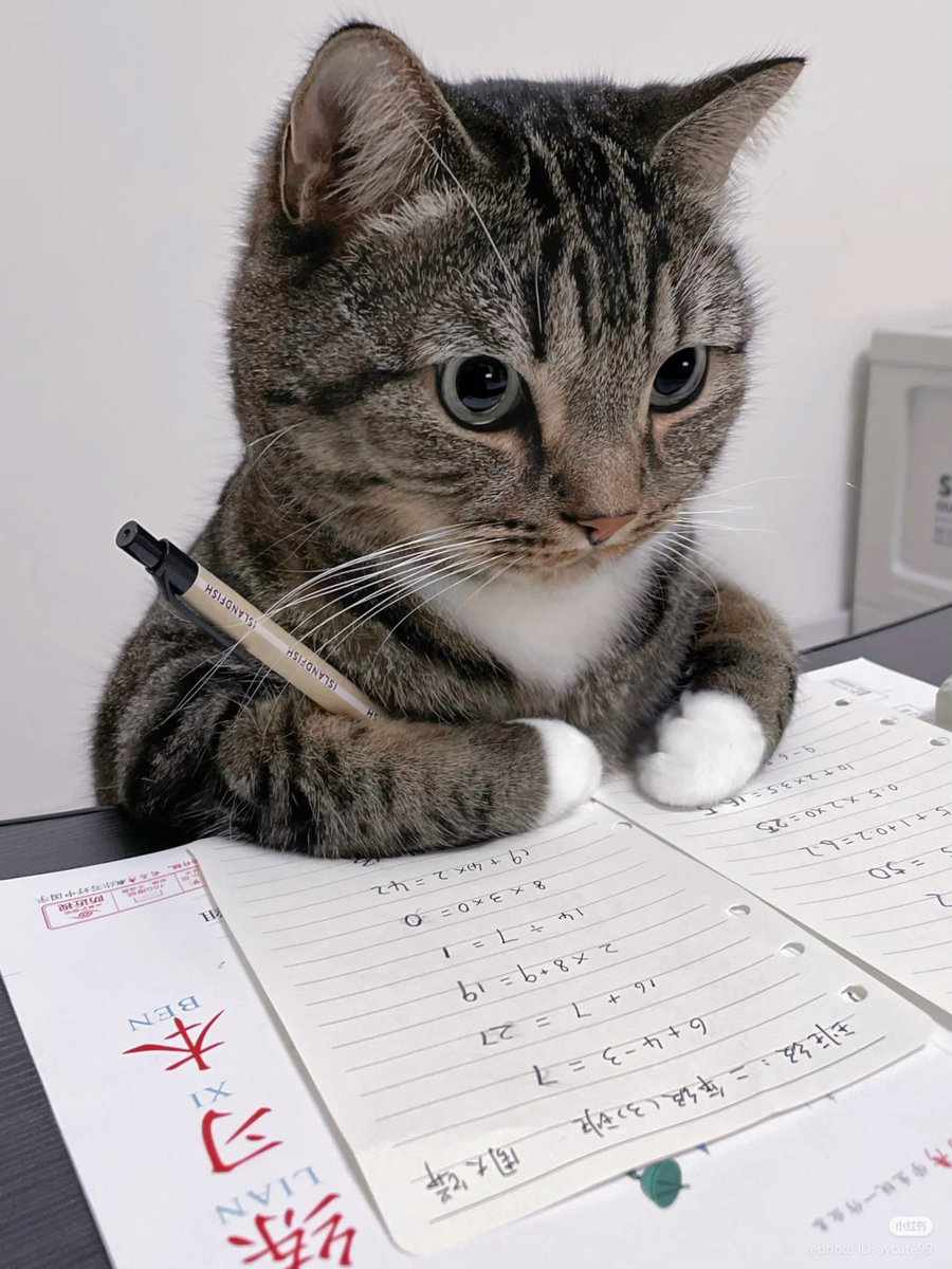 Studying