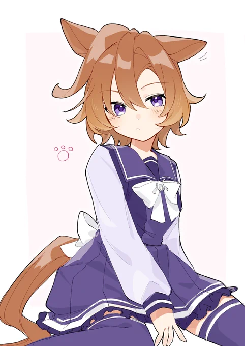 ねこはお