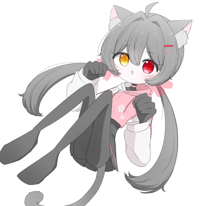 昨日猫の日だったので