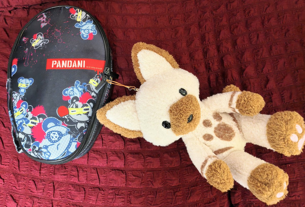 昨日の戦利品の1部🌟 念願のアイルーテディ🧸 通常チャームと比べると