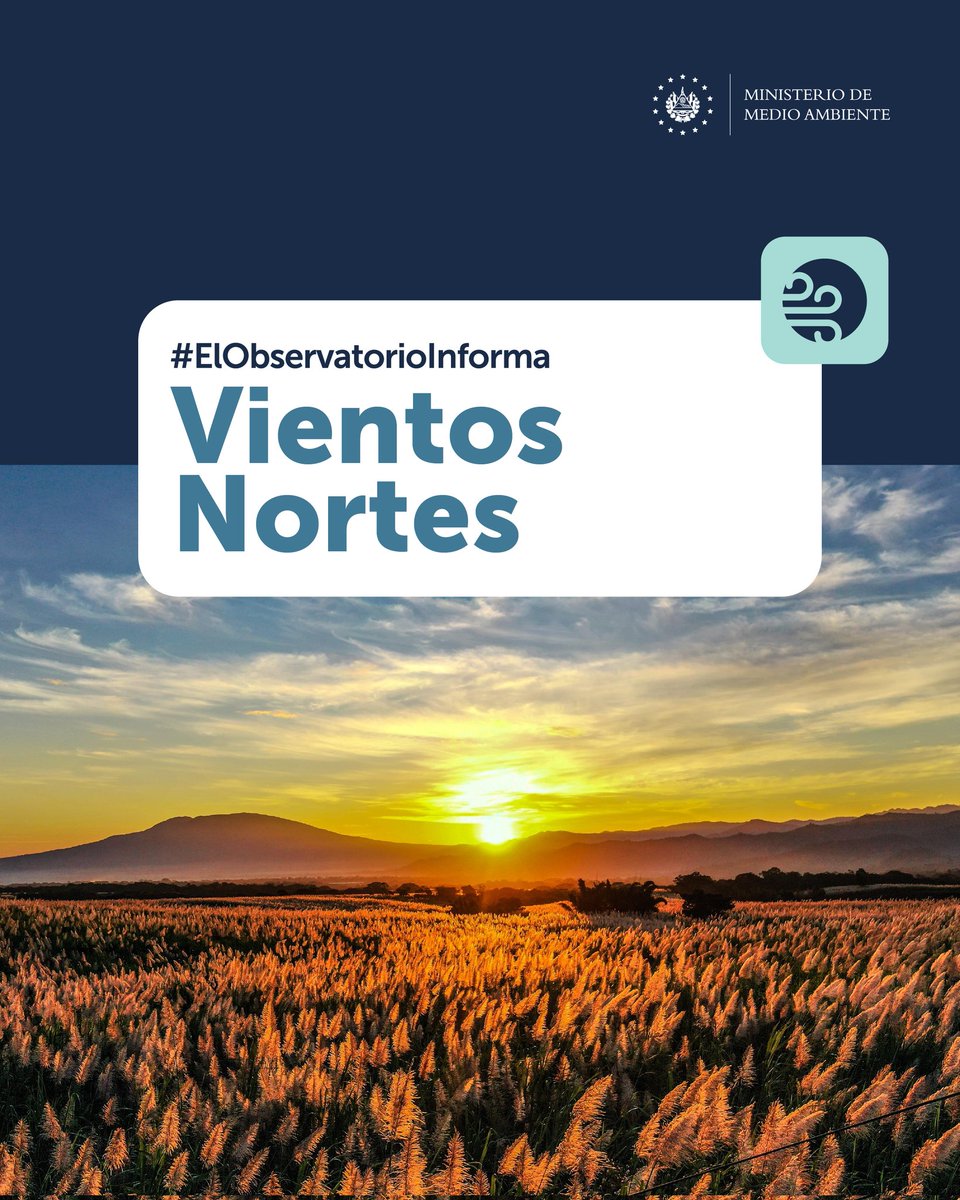 📌#ElObservatorioInforma | Los Vientos Nortes continúan en el país, con ráfagas ocasionales de hasta 100 km/h.🍃

Las temperaturas disminuidas se mantendrán hasta el jueves 26 de febrero,  sobre todo en las noches y madrugadas.🌡

Abrígate, evita realizar quemas agrícolas y toma