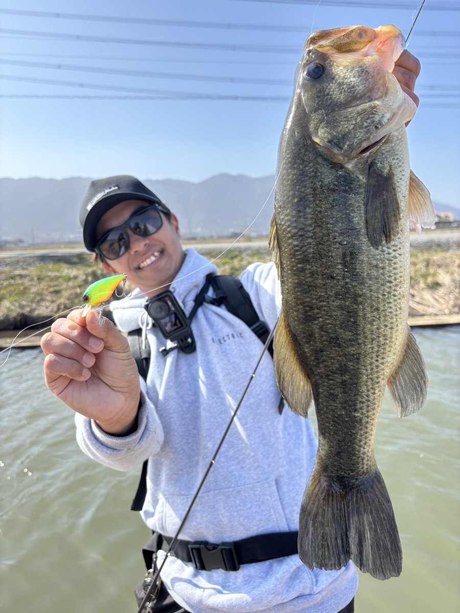 JACKALL BASS FISHING (@JACKALL_Inc) / Posts / X