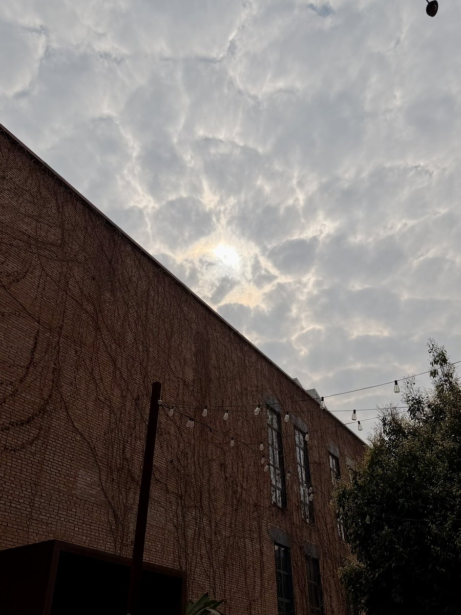 🧃❤️‍🔥🍻