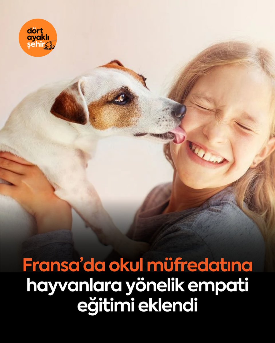 <a href="/ayse0zer/">Ayşe Özer</a> <a href="/EsenyurtBLDYS/">Esenyurt Belediyesi</a> Hiçbir can boşuna yaradılmamıştır!!
Kediler evin süsü,köpekler evin sokağın bekçisidir ..
Sevgi öyle bir duygudur ki,hayvanlar bakışınızdan anlar.
Nefreti de hemen 6.hisleri olduğu için fark ederler!!
Eskiden bu kadar hırsızlık yoktu,yollarda köpekler korurdu.
Yaşayan bilir..