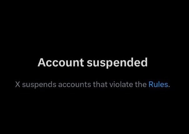You wake up to your X account suspended.

what do you do next?

Next plan?