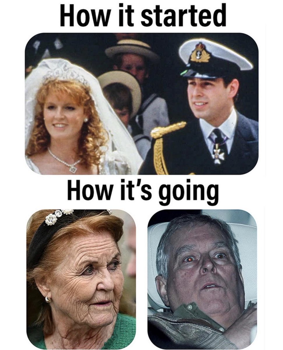 Grifty (@thegriftreport) on Twitter photo 