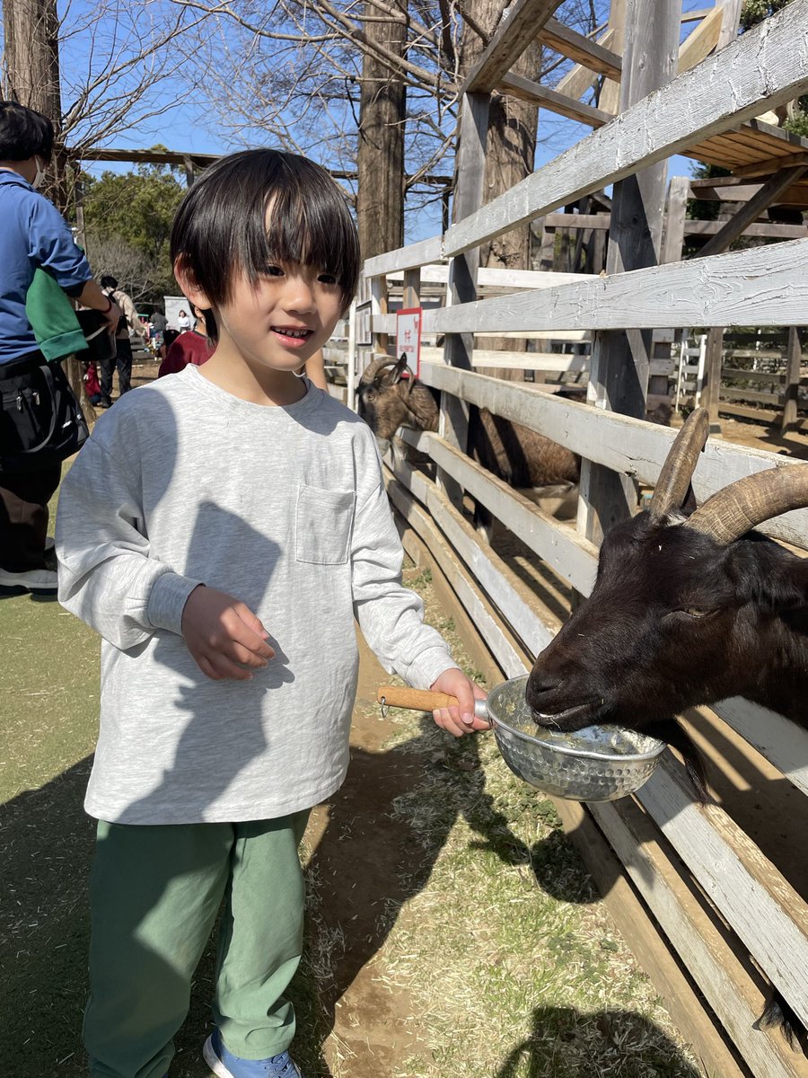 ばかだんな tweet media