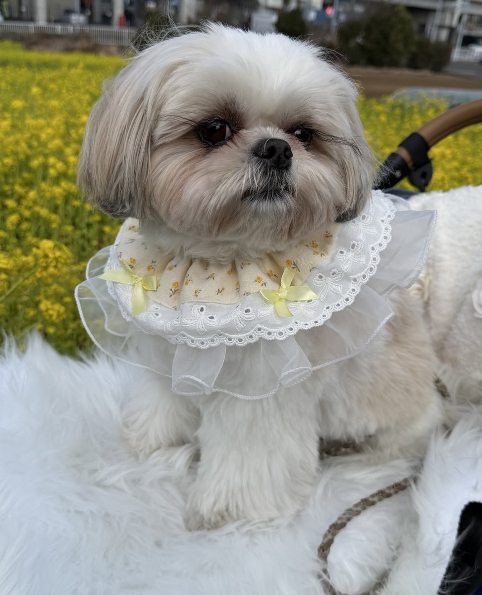 えっちゃん (@BokuEsteban) / Posts / X