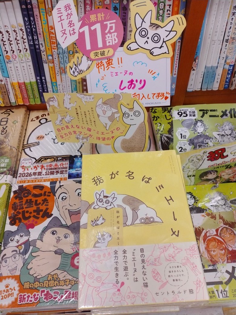 コミック】 ＃セントラルド熊 先生の「＃我が名はミエーヌ」 店舗限定
