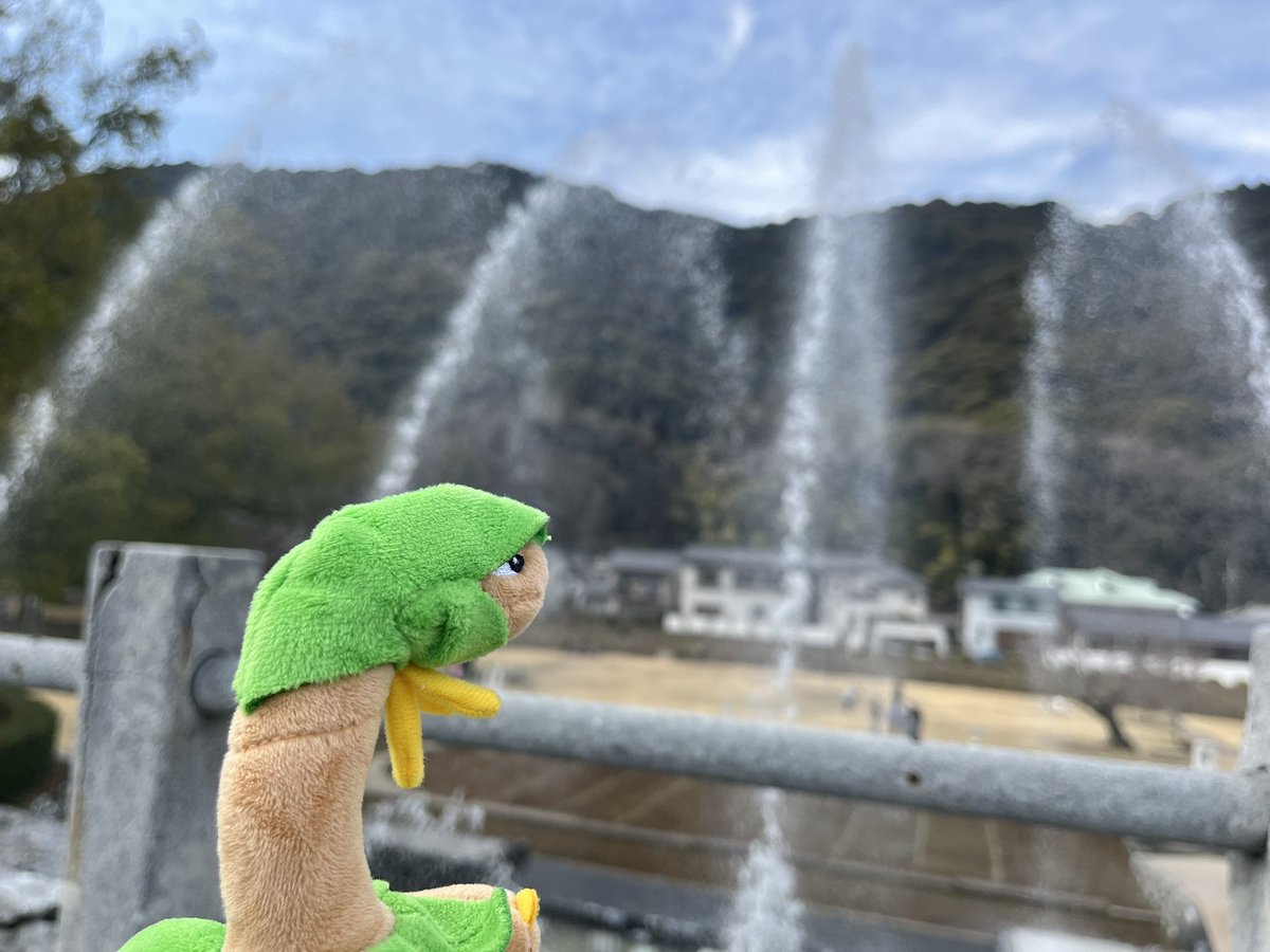 お散歩好きのトロピウス tweet media