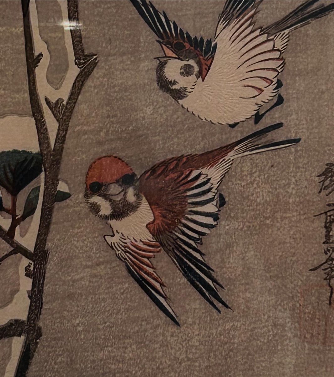ロックフェラー・コレクション花鳥版画展@千葉市美術館へ。
コレクターの花鳥好きにより味わえる量で見応えあり！花鳥だからこその広重と北斎の違いの発見もあり。都内では考えられない快適さ。鑑賞の豊かさを促すツールも多く、千葉市美術館推せる！

広重の雀の正面顔なんなの！？可愛すぎんだろ😍💢