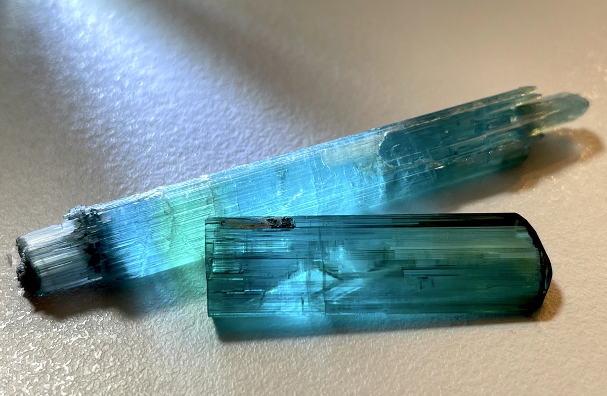 Tom (@tomtourmaline) / Posts / X