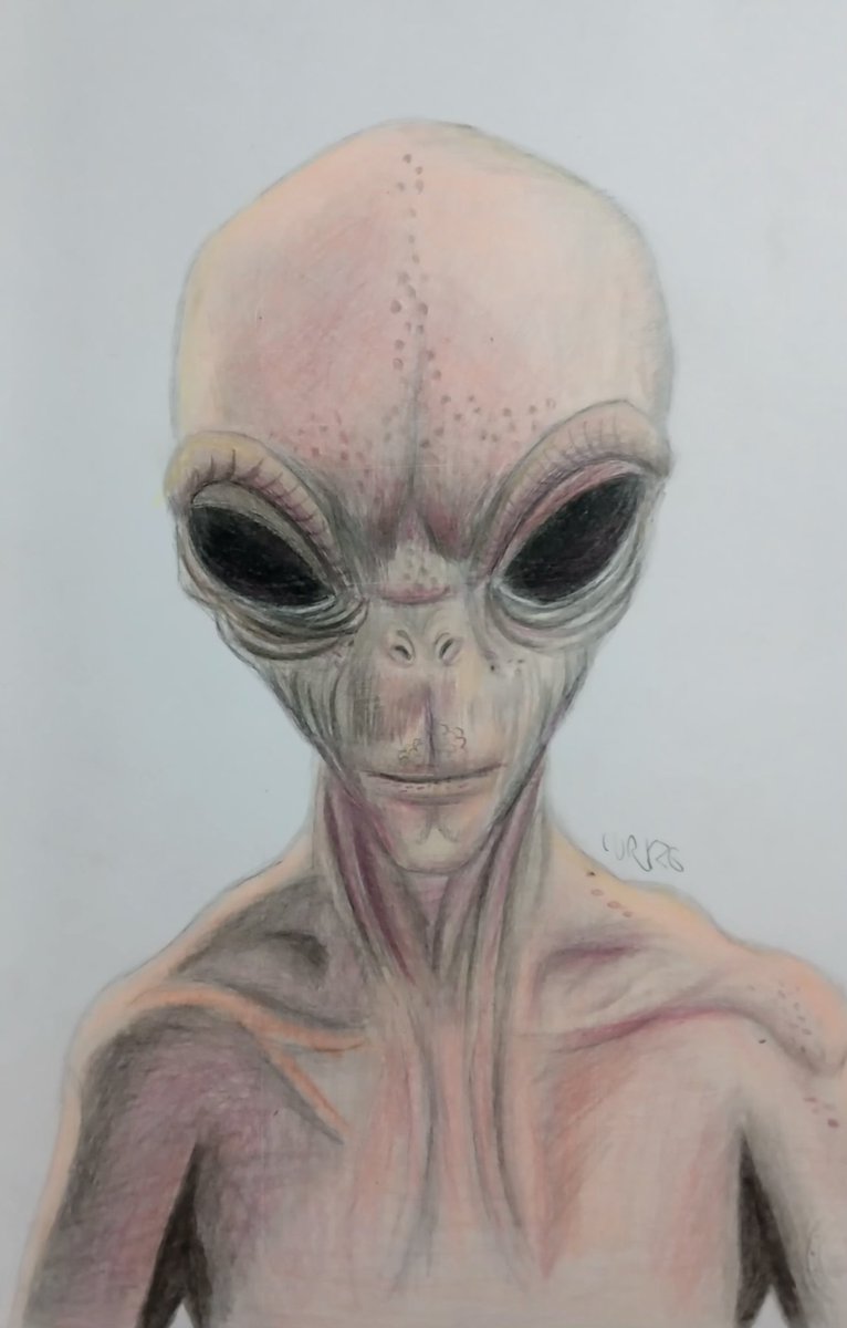 Curly26340963's tweet image. Alien gris
#grayalien #ufología #ufology