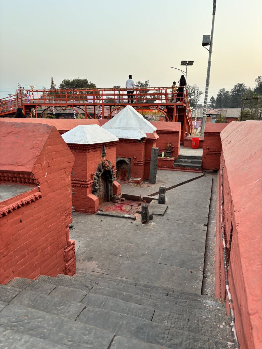 Pranava Sharma tweet media