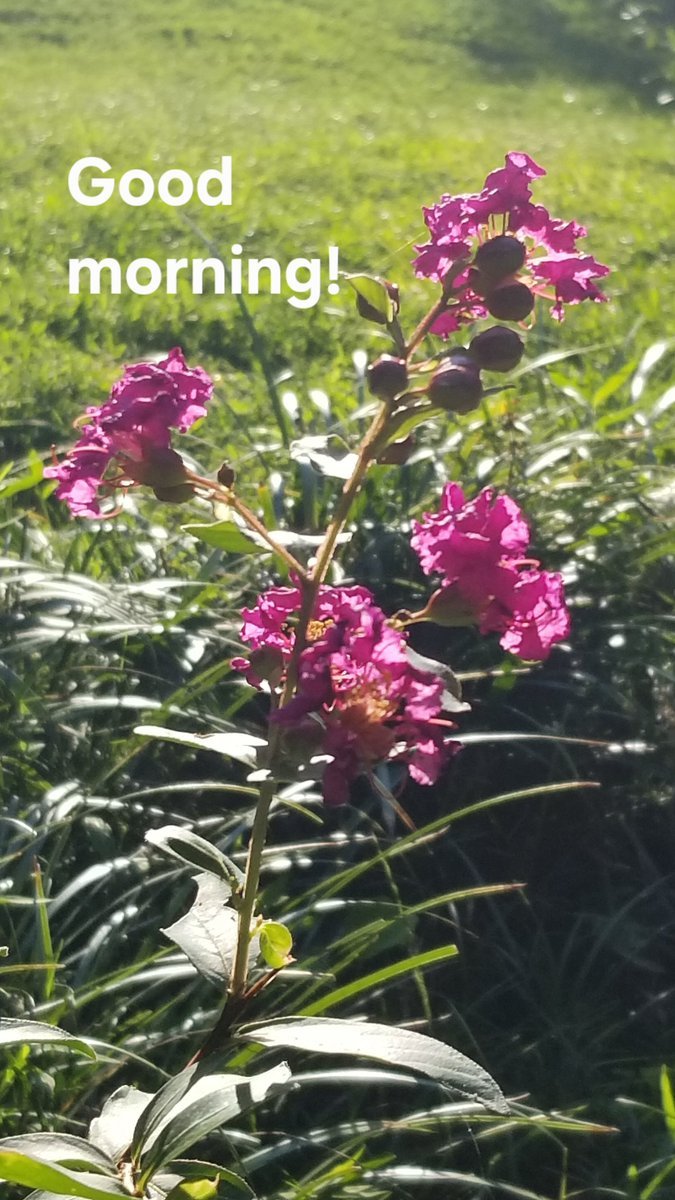 Good morning! May blessings overtake you today!