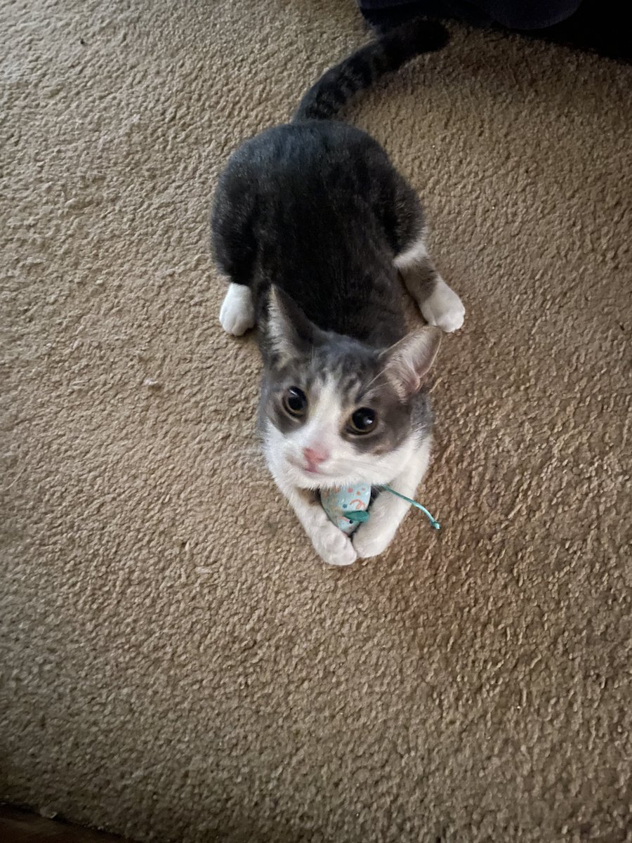 I found her crying outside