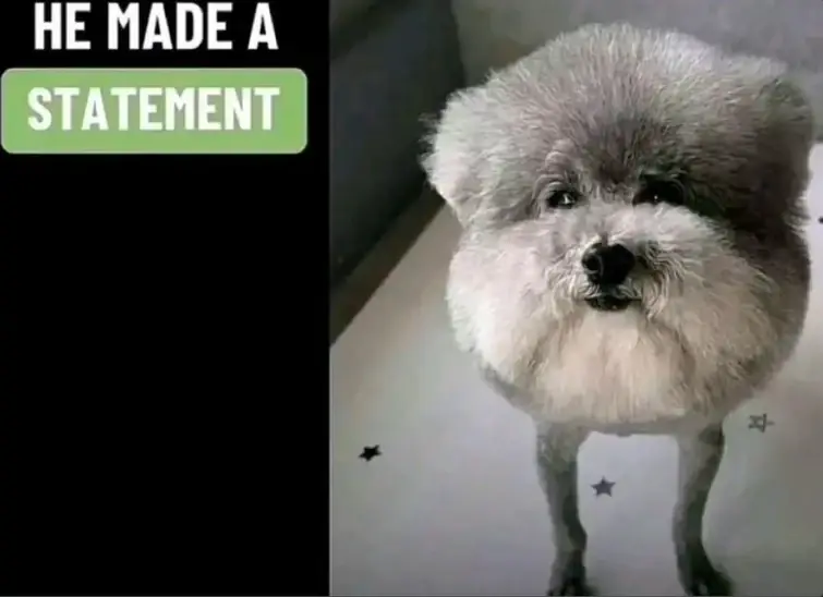 GotMoose tweet media