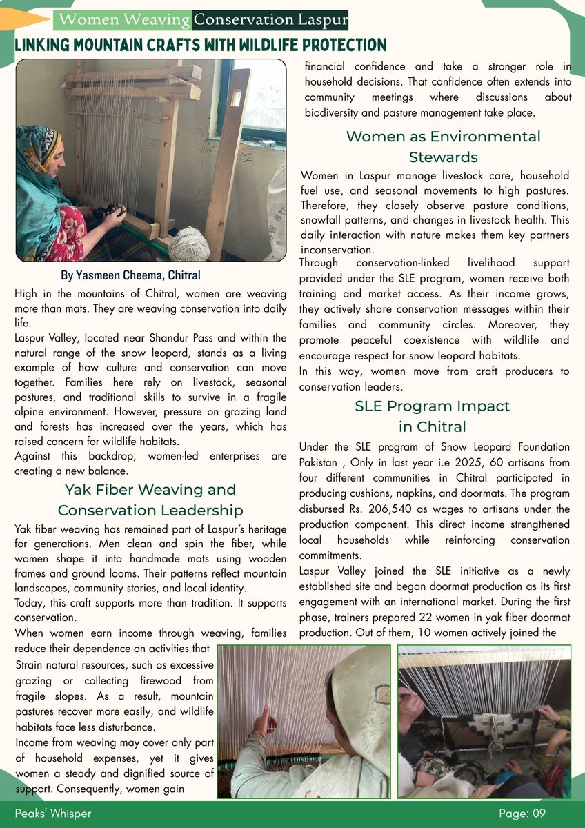 Snow Leopard Foundation tweet media