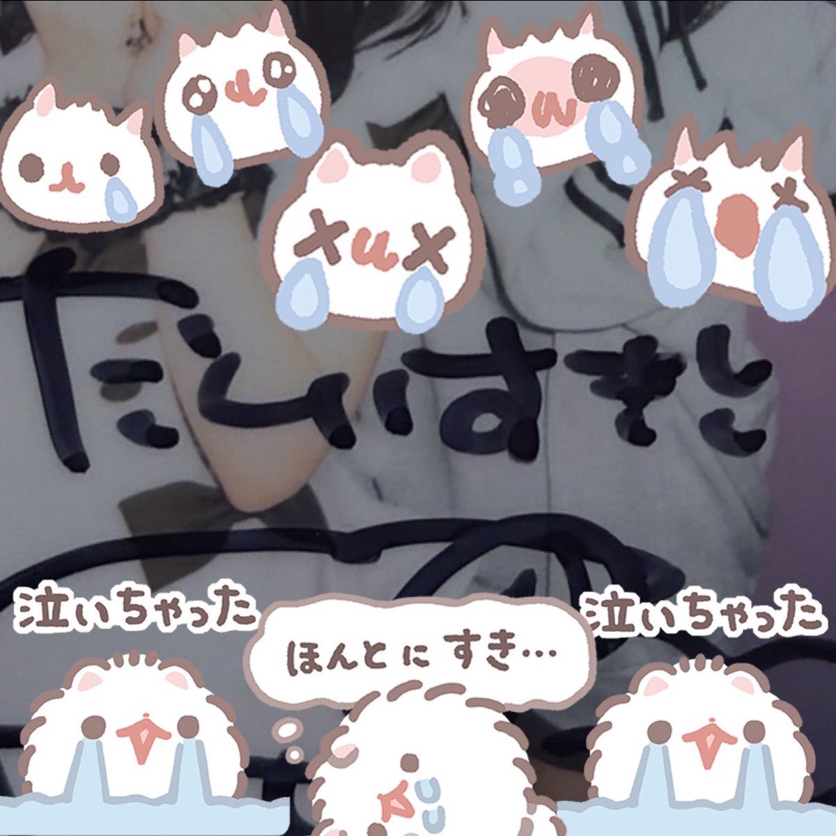 ありさちゃん🎀🖤 tweet media