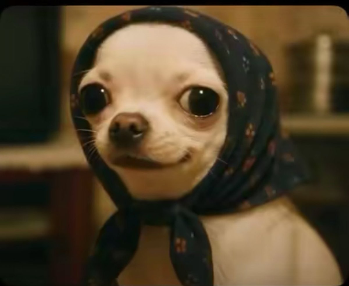 realmayor9's tweet image. I remember when I used to have little engagements  now I don’t have any one at all from grace to forest the growth is massive