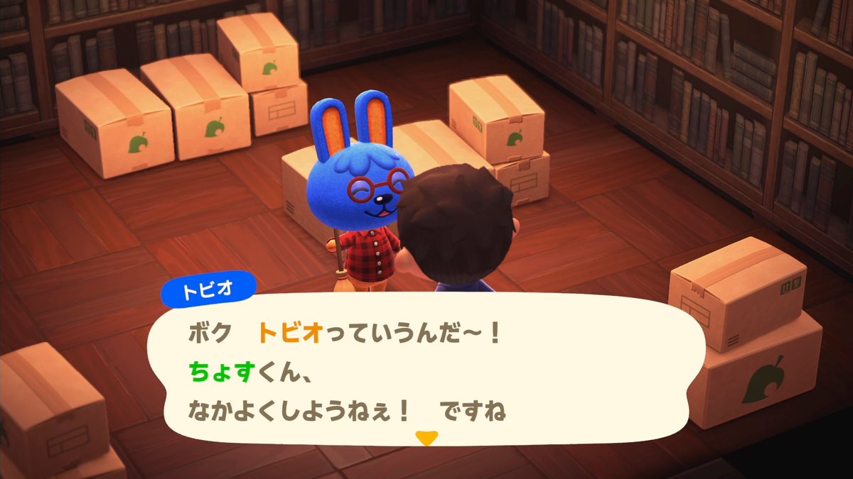 毎日ぶつ森 #どうぶつの森 #AnimalCrossing #ACNH #NintendoSwitch2