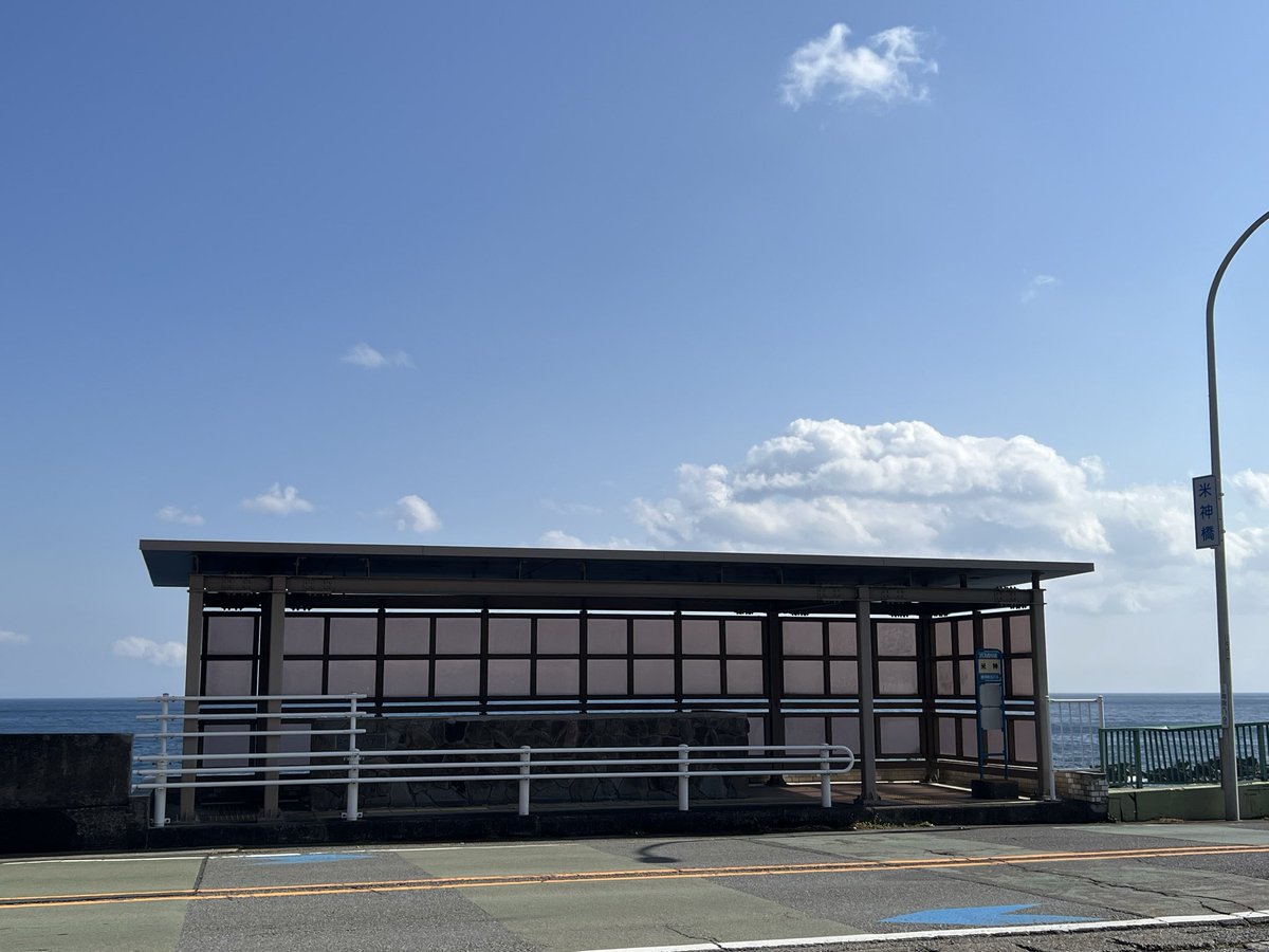 さぼてん (@hrsgjktdv) / Posts / X