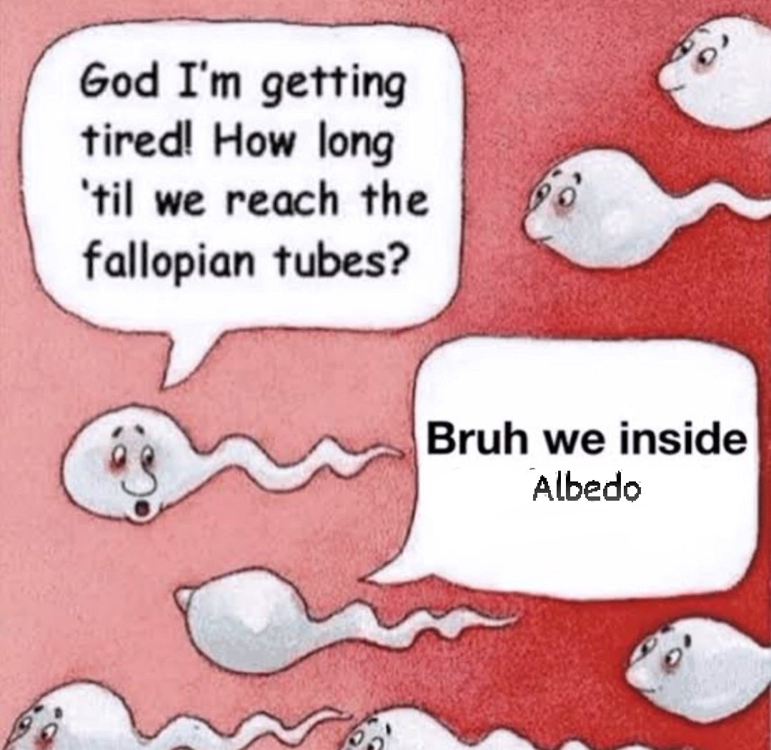 mika (@alibidobedo) on Twitter photo 