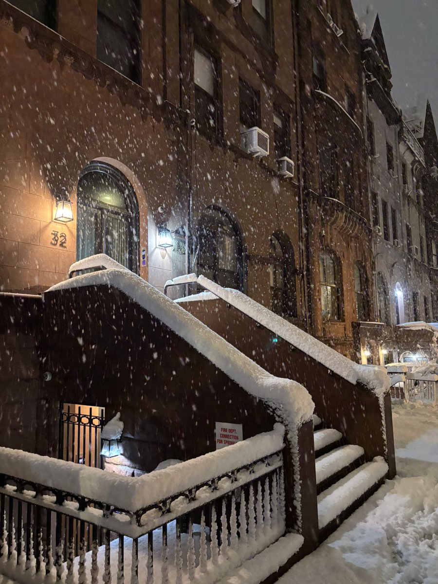 blip_tm's tweet image. nyc in the snow is always magical