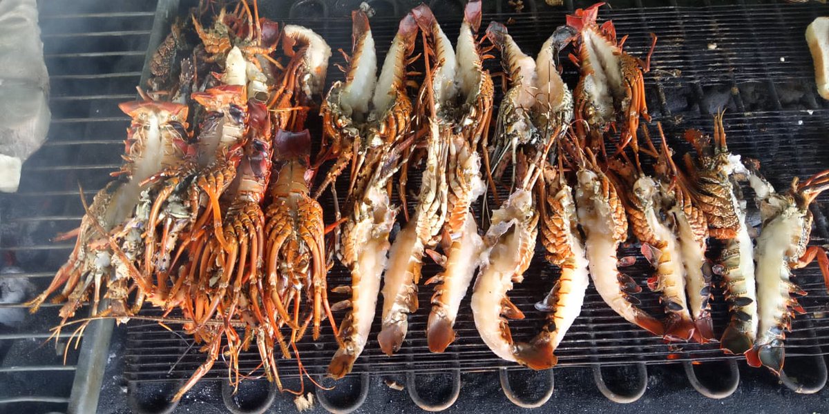 Mseto Travel Experiences tweet media