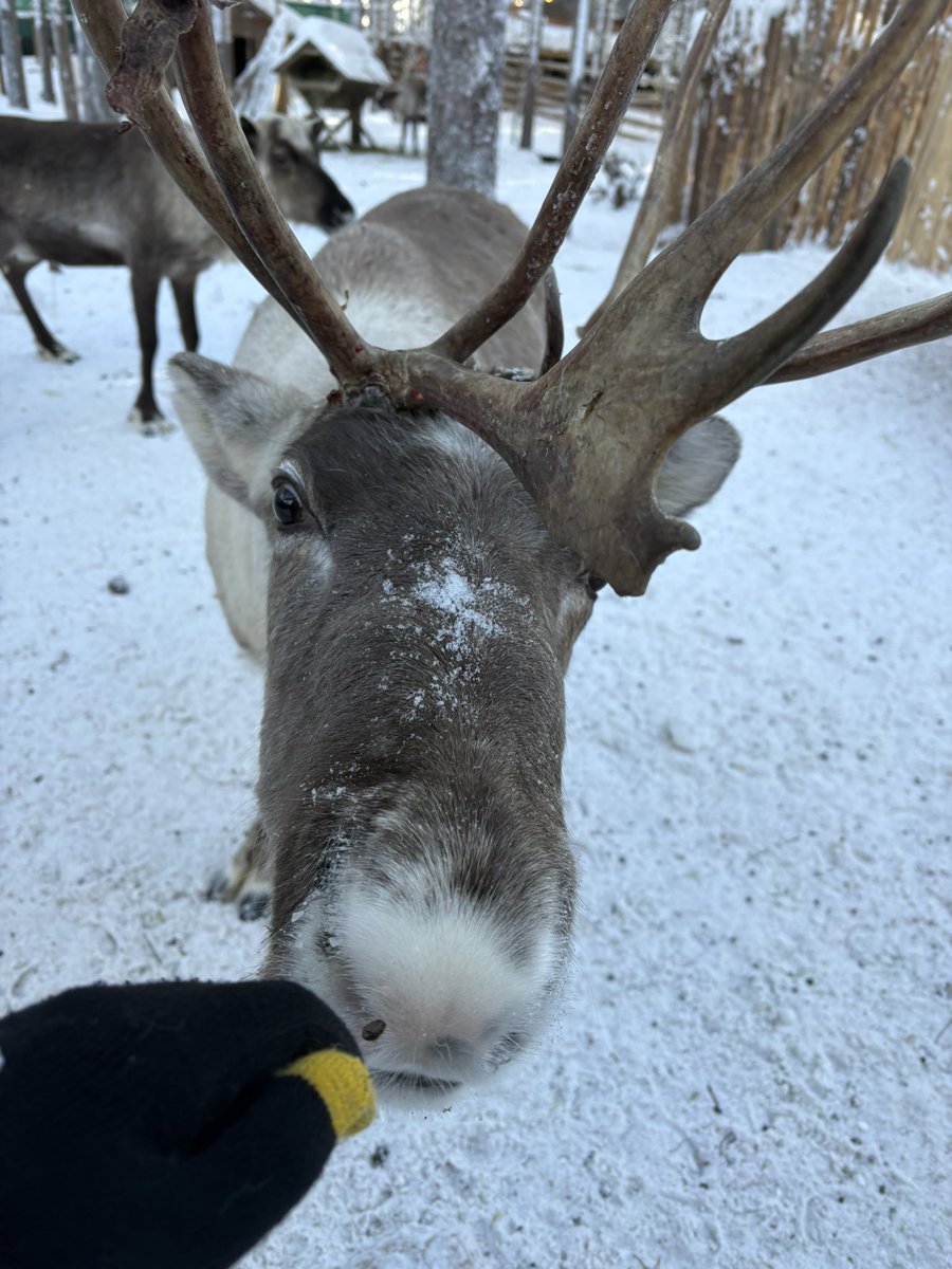 TƎrr99⭕️🎡 tweet media