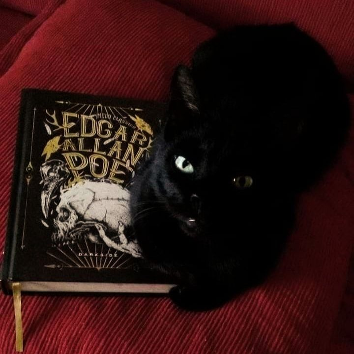 giuliana tarot — agenda abierta. tweet media